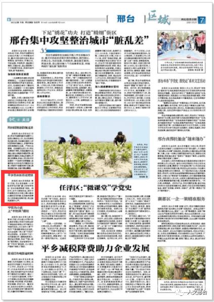 偶像老师只写了偶像这种作文题目有没有没有偏题？游戏画面